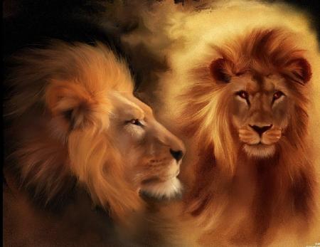 lion